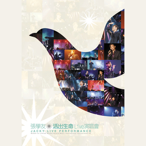 在哪个网上看毛片
