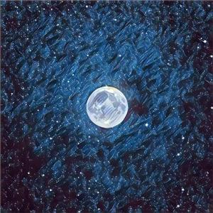 在哪个网上看毛片
