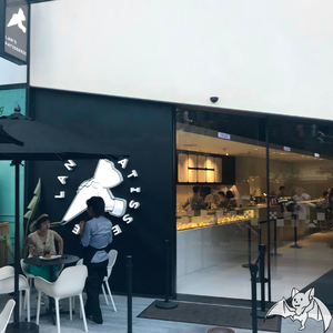 在哪个网上看毛片
